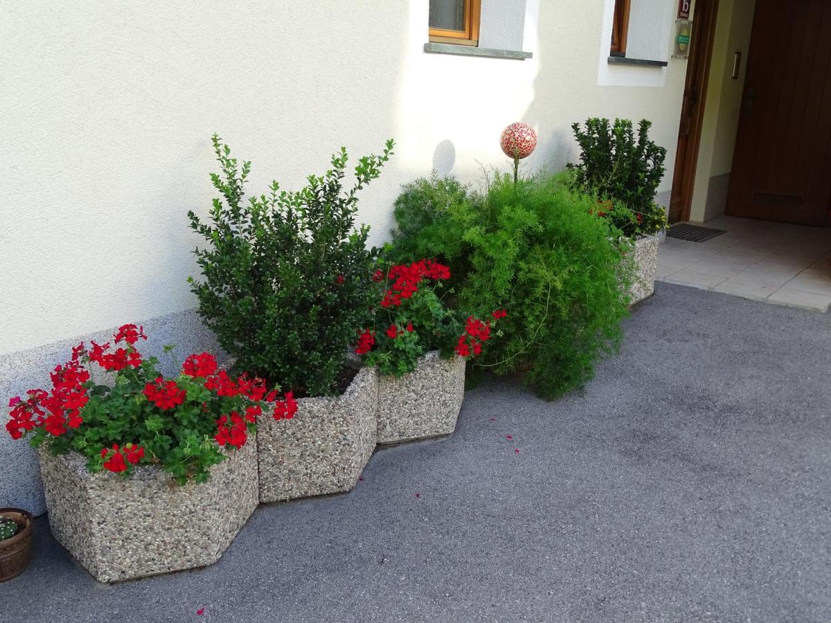 Appartement Sylvester Matrei in Osttirol Luaran gambar